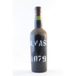 Malvasia 1879 (1)