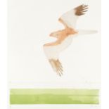 Dame Elisabeth Frink R.A. (British, 1930-1993) Marsh Harrier, from 'Birds of Prey' Etching with a...