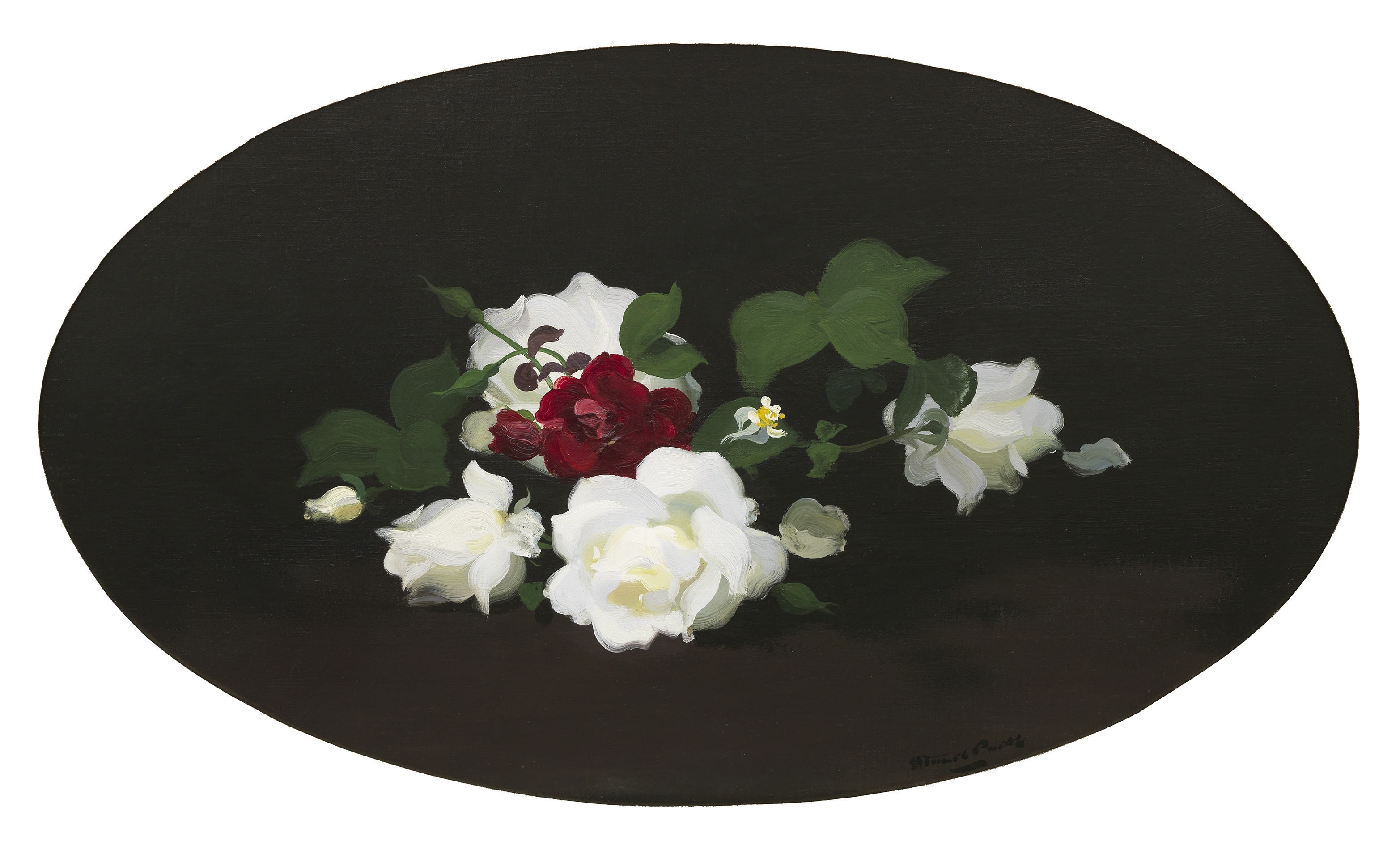 James Stuart Park (1862-1933) Red and cream roses 53 x 87 cm. (20 7/8 x 34 1/4 in.)