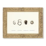 A framed collection of locks of hair believed to belong to Maharaja Duleep Singh (1834-1893), Pri...