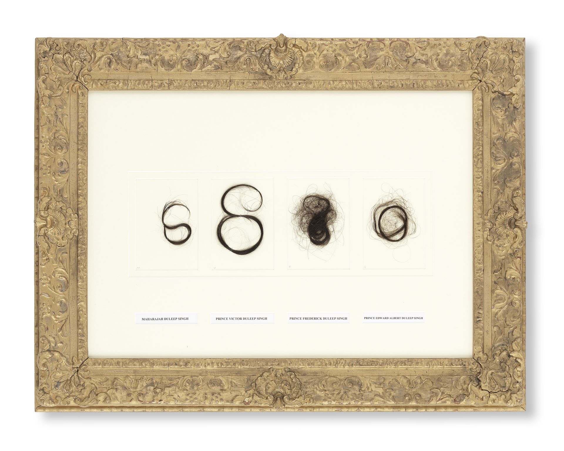 A framed collection of locks of hair believed to belong to Maharaja Duleep Singh (1834-1893), Pri...