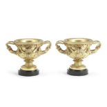 A pair of 19th century gilt bronze garniture urns cast as models of the Warwick vases (2)