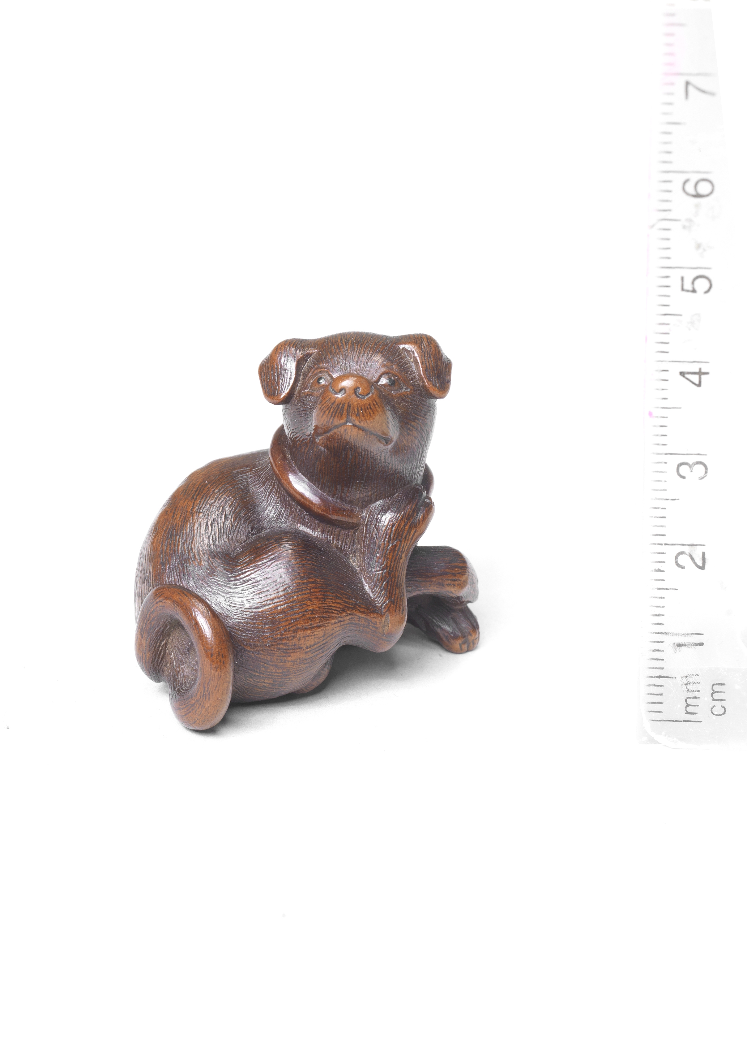 A boxwood netsuke of a dog 19th century