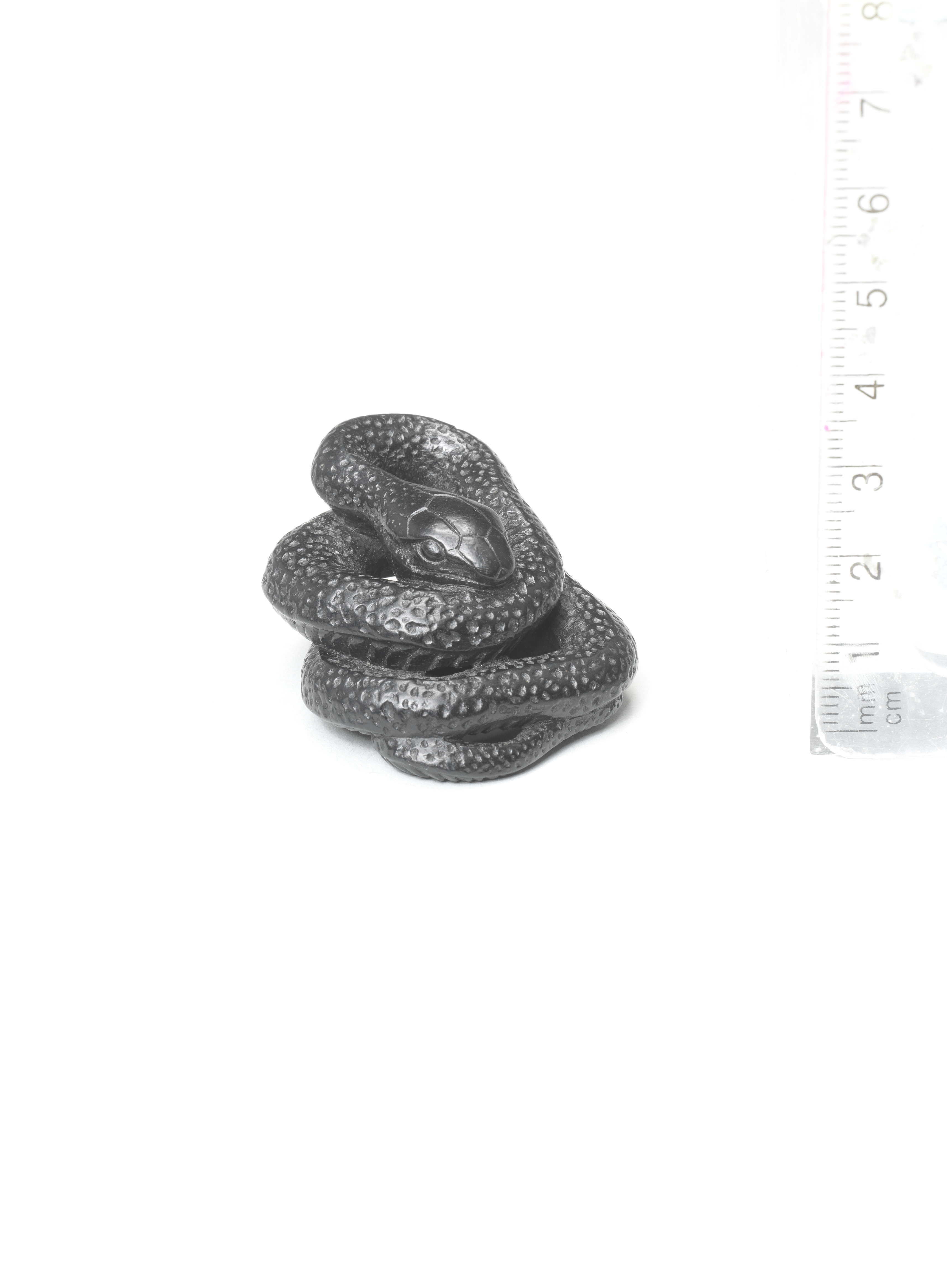 A boxwood netsuke of a coiled snake By Sari, Iwashiro Province, 19th century