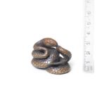 A boxwood netsuke of a coiled snake By Nobumitsu, 19th century