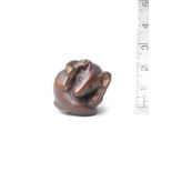 A wood netsuke of a coiled rat By Nobuyoshi, mid-late 19th century