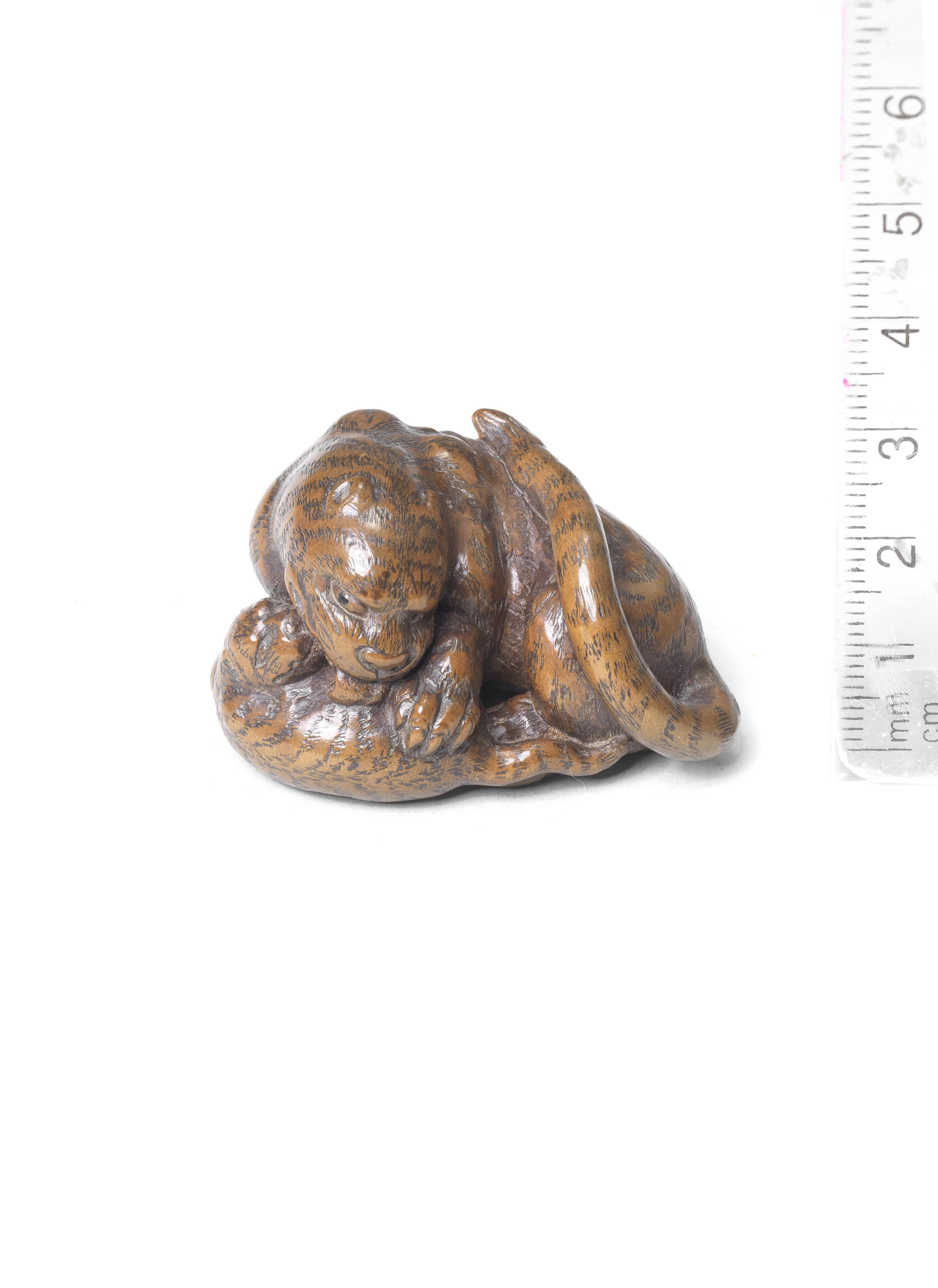 A wood netsuke of a tiger and cub By Kokei, Kuwana, Ise Province, late 18th/early 19th century