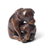 A boxwood netsuke of a bitch and pups By Shigekado, early 19th century