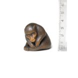 A boxwood netsuke of a monkey By Koichi, late 19th century