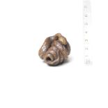 A wood netsuke of a snake By Tametaka, Nagoya, 18th century