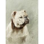 Arthur Wardle, RI (British, 1864-1949) Bulldog