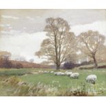 Sir Alfred James Munnings, PRA, RWS (British, 1878-1959) Sheep grazing a meadow