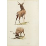 Archibald Thorburn (British, 1860-1935) Studies of stags; a pair (Together with a study of a ph...