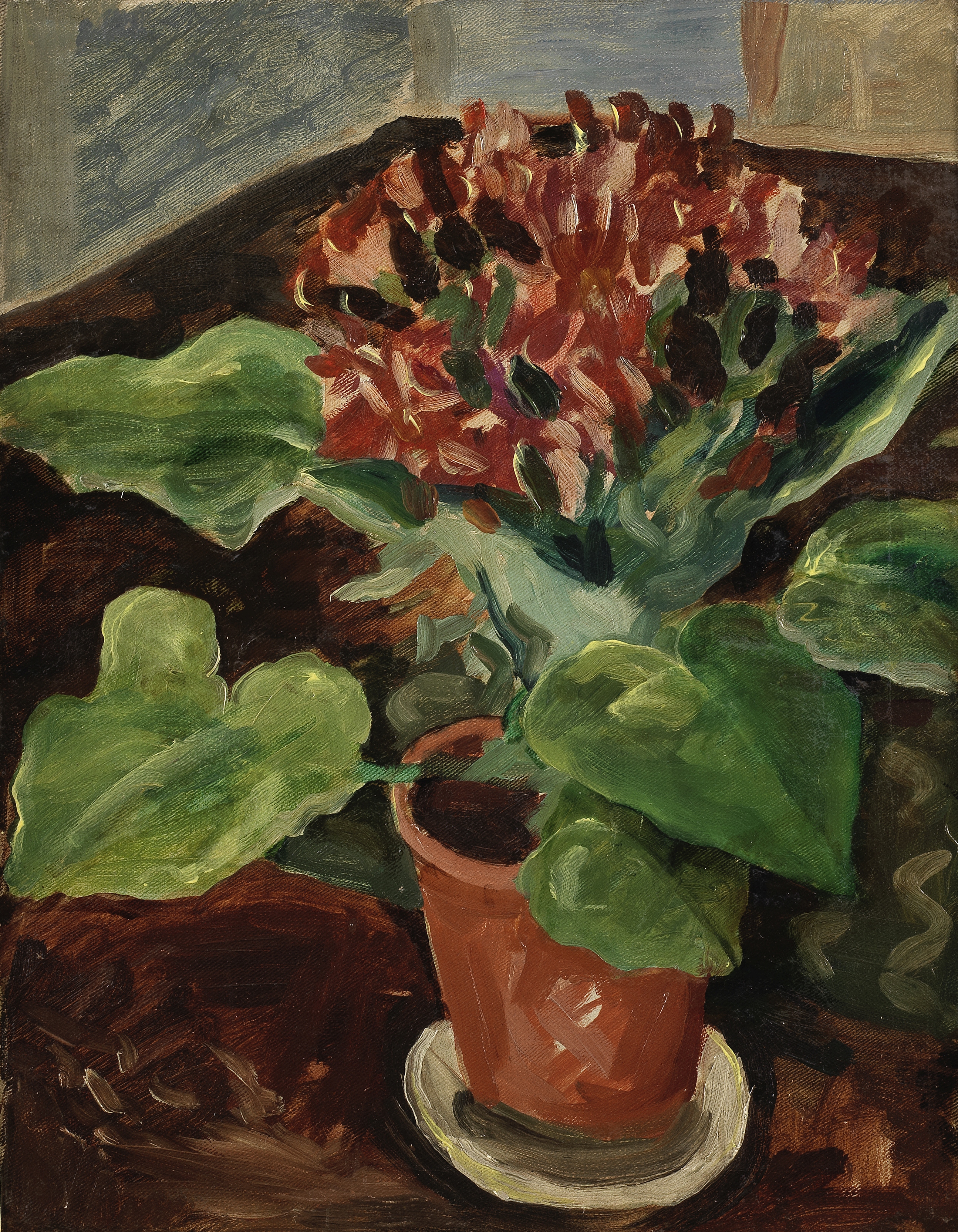 Augustus John O.M., R.A. (British, 1878-1961) A Cineraria in a Pot on a Table 46 x 36 cm. (18 1/8...