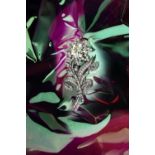 AN ELEGANT DIAMOND FLOWER BROOCH, BY CARTIER,