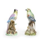 A very rare pair of large Höchst faience models of parrots, circa 1750-52