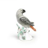 A Meissen model of a parrot, circa 1750