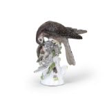 A Meissen model of a sparrow hawk, circa 1740