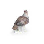 A Meissen model of a partridge, mid 18th century