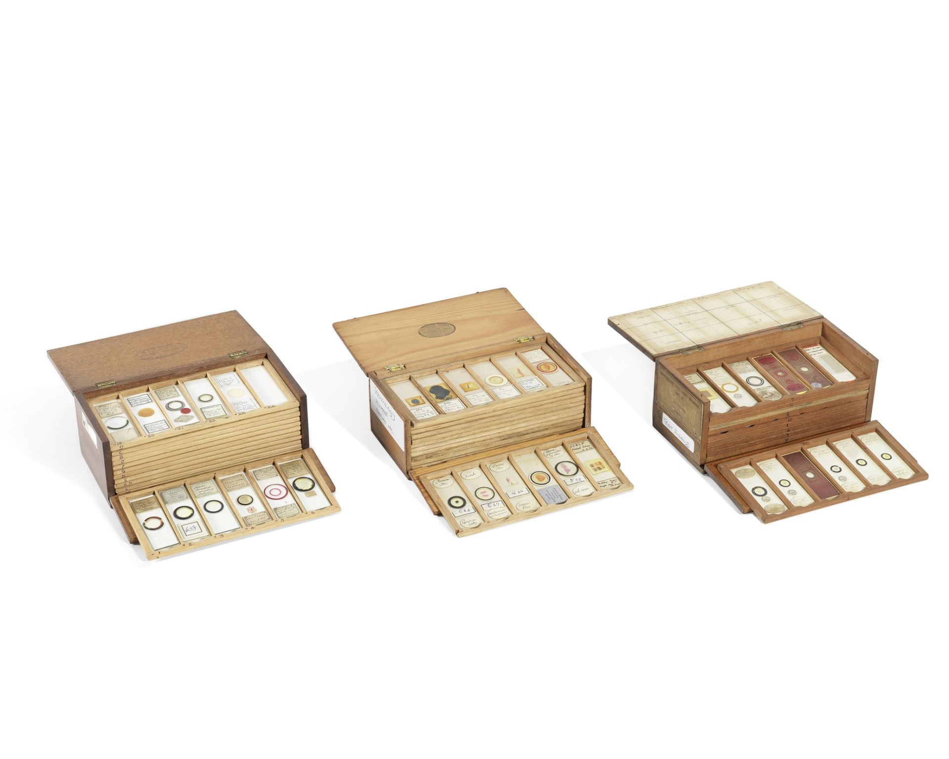 A collection of approximately 100 microscope specimen slides, English, the majority second half o...