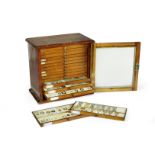 A collection of approximately 300 diatom microscope slides, English, late 19th and 20th centuries,