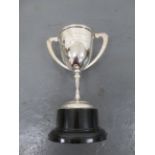 A Castrol trophy