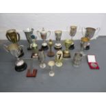 A collection of trophies and commemorative pieces ((Qty))
