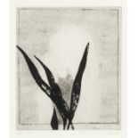 Prunella Clough (British, 1919-1999) Mirror and Plant; Paper Flowers Etching and aquatint, 1996, ...