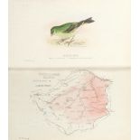 MOSLEY (SETH LISTER AND FREDERICK ORMROD) An Account of the Birds of the Huddersfield District, F...