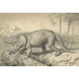 DINOSAURS AND EVOLUTION - ORIGINAL ARTWORK A fine collection of 42 original illustrations for Hen...