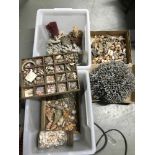 A Large collection of old shells in trays with descriptions on paper together with coral pieces,