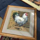 A Framed cockerel tapestry, Frame measures 55X54CM