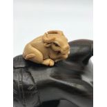 A Japanese hand carved Tagua nut netsuke figure of an Ox laying down. Detailed with black bead