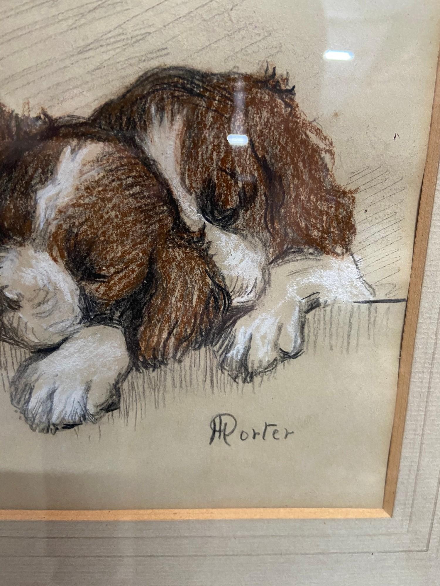 An original pastel drawing a litter of pups. Signed H Porter. Details to the back of the frame. [ - Image 2 of 3