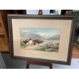 After H Garland large antique coloured print of Highland cattle in the mountain side. Fitted with
