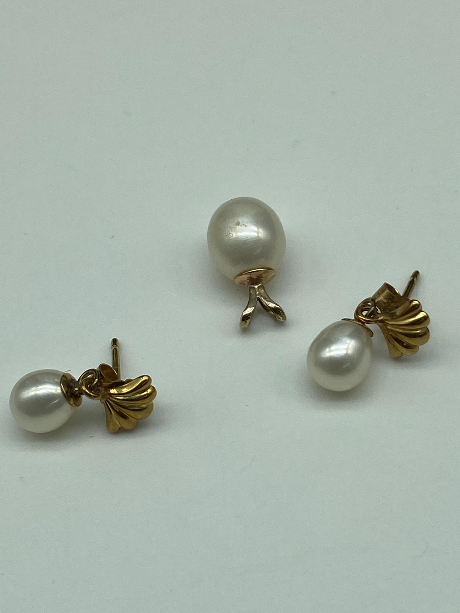 A Ladies 9ct gold and Pearl pendant together with a pair of 9ct gold and pearl earrings.