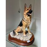 A Large Border Fine Arts German Shepherd figurine. Comes with original wooden display stand. Model