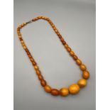 Antique egg yolk/ butter scotch amber graduating bead necklace. [54cm length] [34grams]