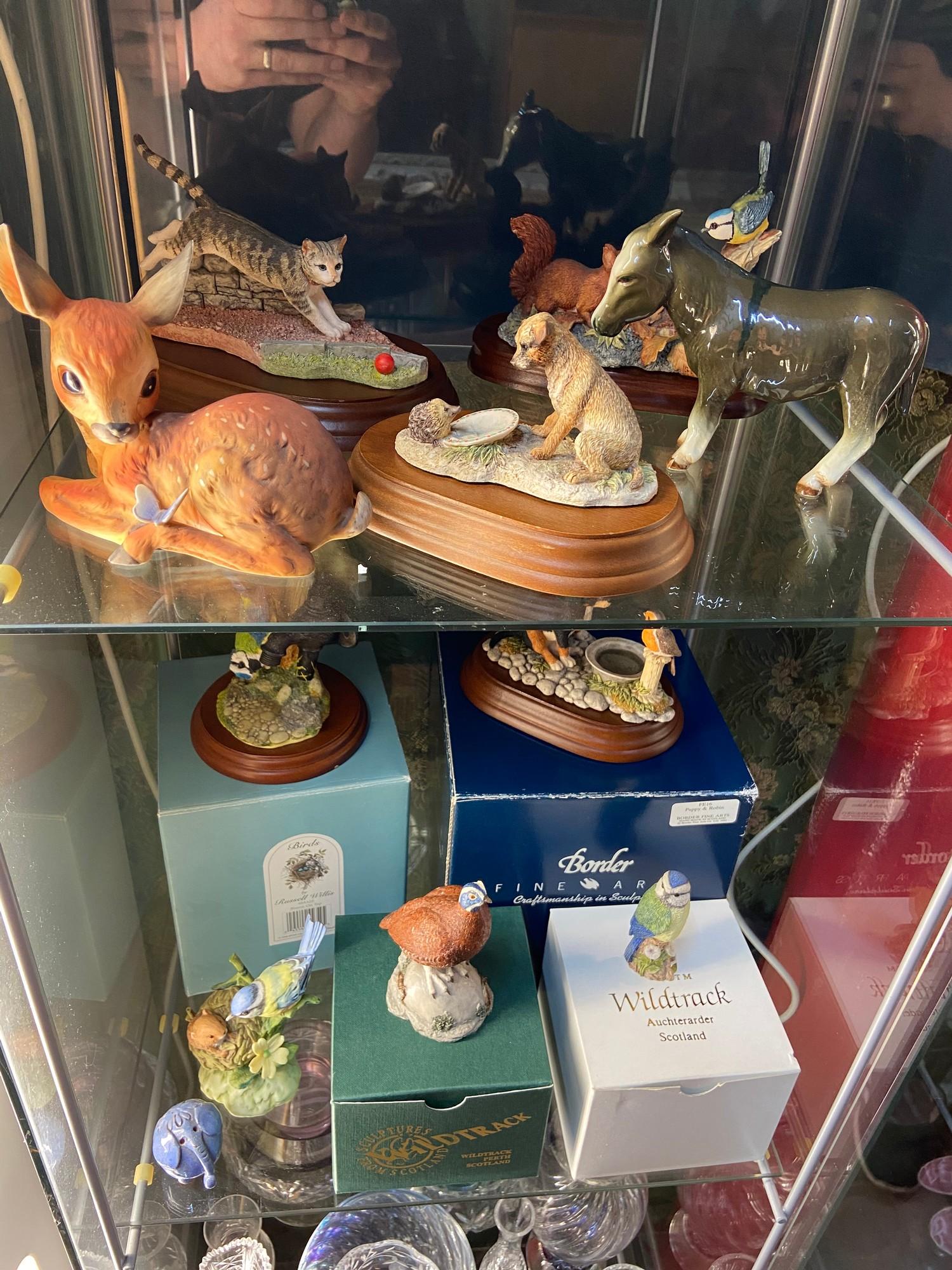 Two shelves of collectable porcelain figures to include Border Fine Arts boxed figures, Wildtrack