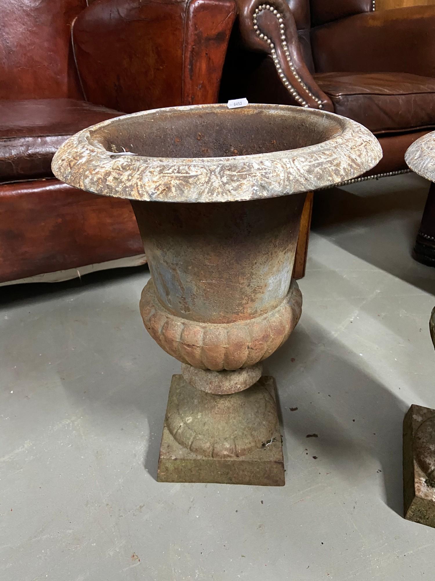 A Pair of antique cast iron urn plant pots. [44cm height] - Image 2 of 5