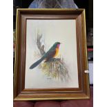 A well executed oil painting on canvas of a bird perched. signed by the artist Ananthachai. [Frame