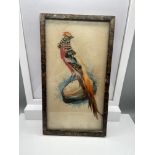 A Chinese watercolour/ taxidermy on silk. Detailing a bird perched on a rock. The bird is made up of