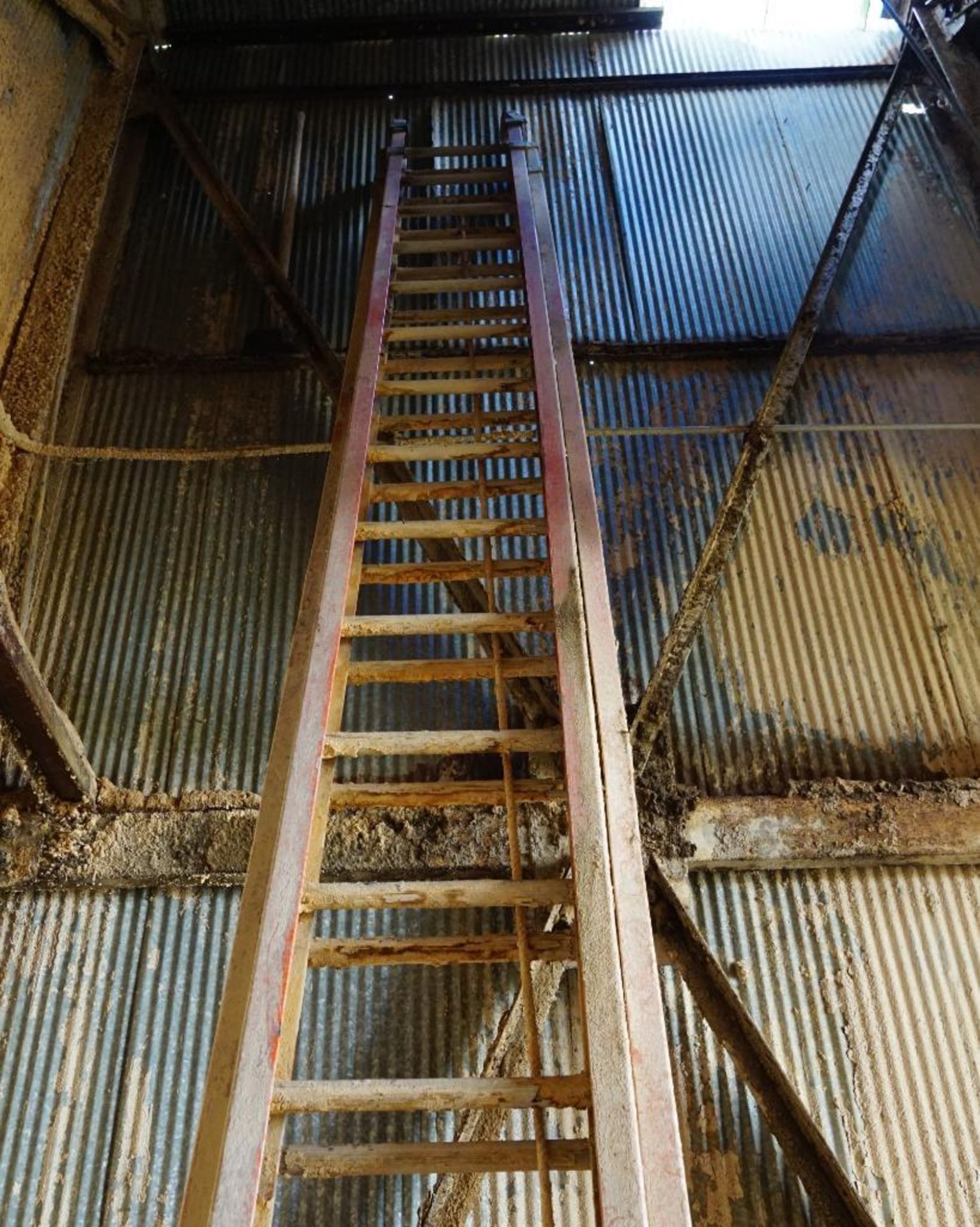Werner Fiberglass Extension Ladder - Bild 2 aus 4
