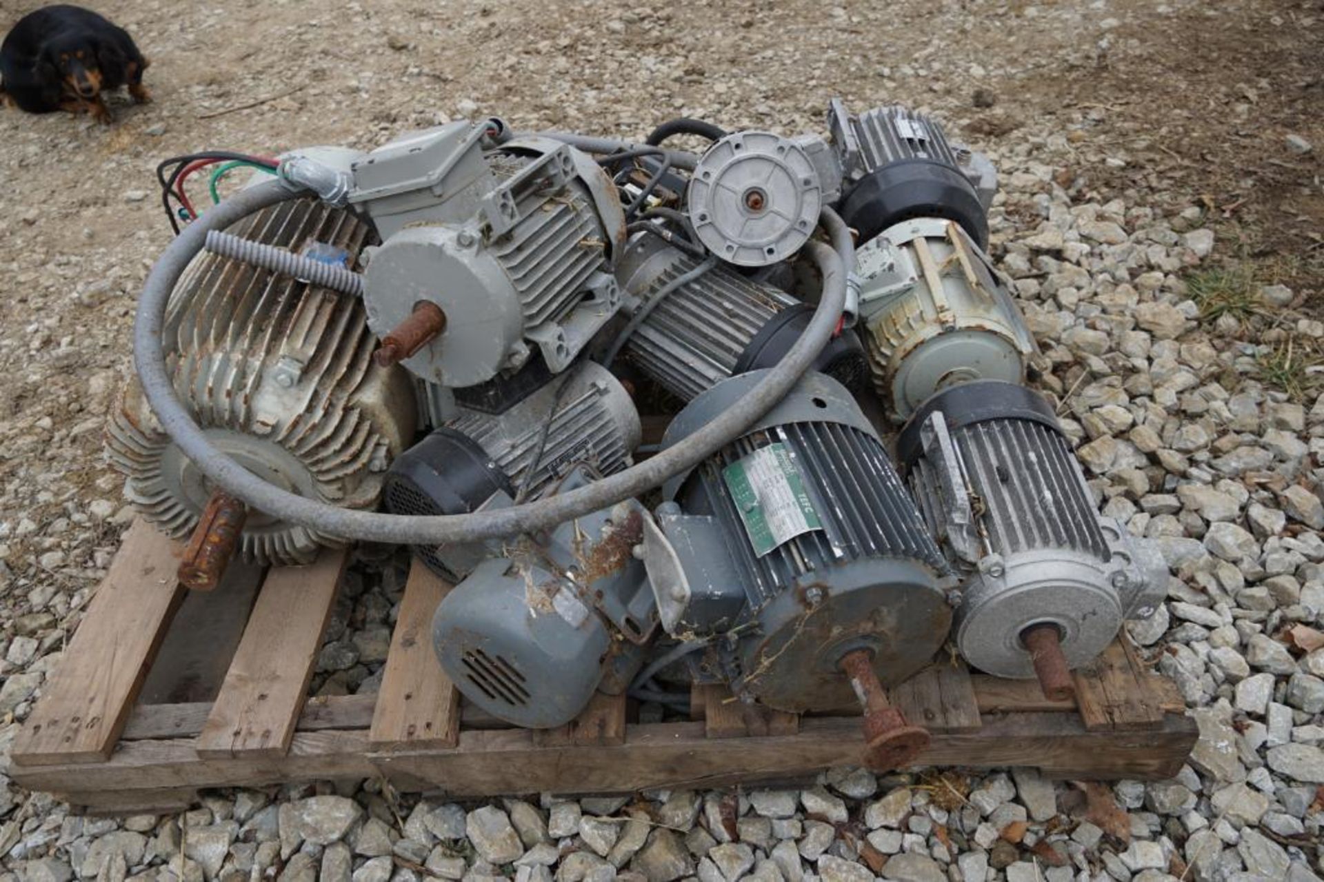 3 HP- 20 HP Electric Motors - Image 2 of 4