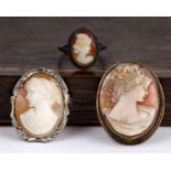 Two shell cameo brooches together with a cameo ring.