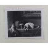 J. Outrim after Sir Edwin Landseer The Cavalier's Pets Engraving 18.5 x 14cmTogether with eighteen
