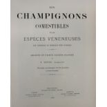 After F. Leuba (19th century)Les Champignons Comestibles, 1890A large collection of coloured