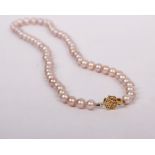 A string of uniform pink cultured pearls with a 14k gold clasp. Each 7mm Approx. 44cm.