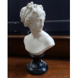 A plaster bust of a classical maiden, on turned wooden socle base. 35cm high inc base.