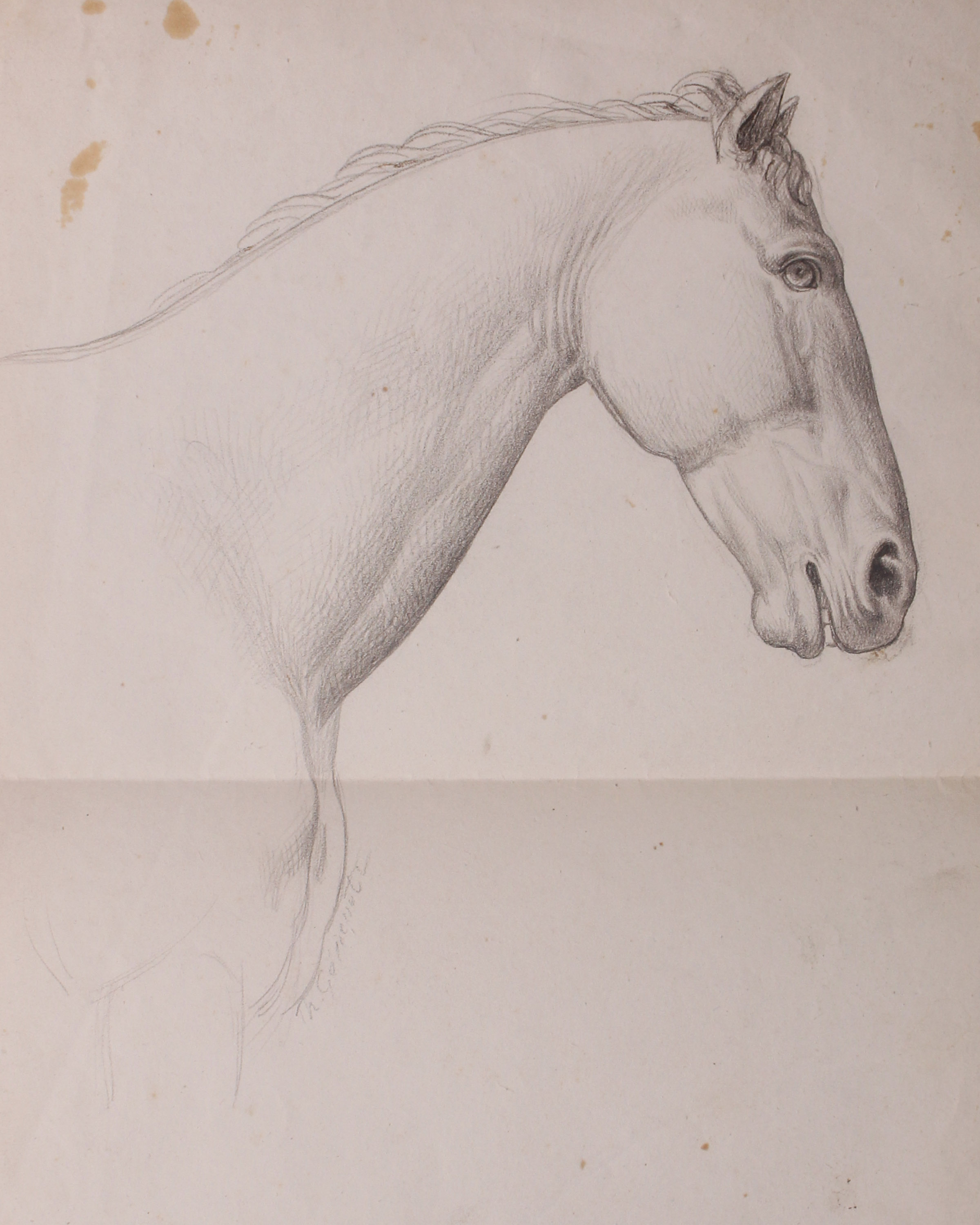 School of Theodore Gericault (French, 1791 - 1824) Pencil study of horse on paper with pencil